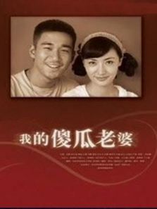 我的“傻”老婆电视剧