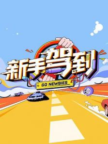 新手驾到（2020）