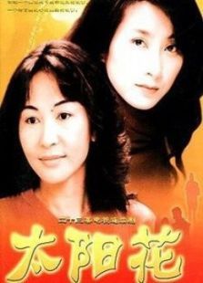 太阳花（2002）电视剧