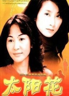 太阳花(2002)电视剧