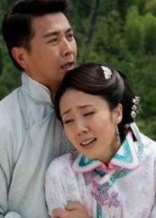 再见艳阳天(保剑锋)电视剧