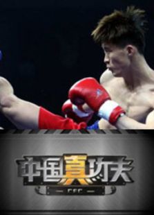 中国真功夫（2016）