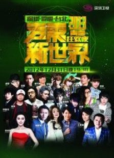 2013深圳卫视跨年晚会