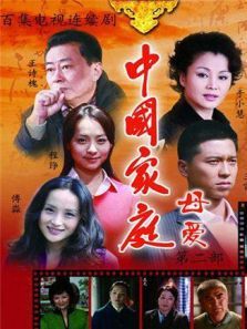中国家庭2电视剧