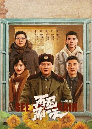 再见,那一天电视剧