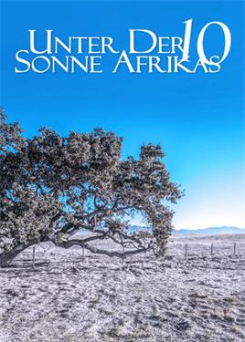 走进非洲10梦想树电影