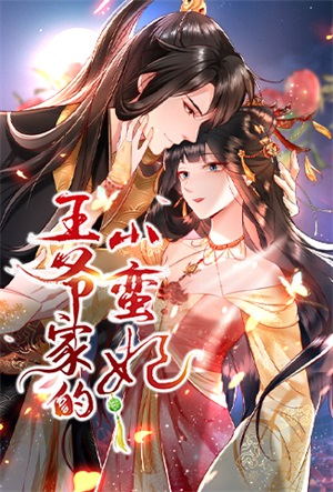 王爷家的小蛮妃动漫