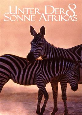 走进非洲8蓬勃的生命电影