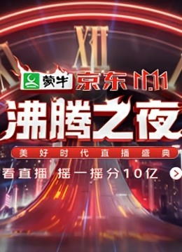 京东11.11沸腾之夜美好时代直播盛典