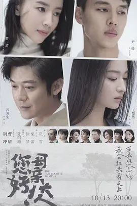 您好!母亲大人电视剧