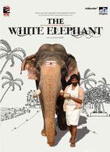 白象（2009）电影