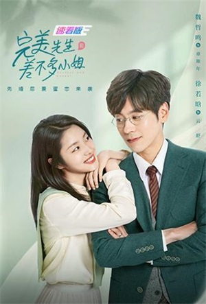 完美先生和差不多小姐（速看）电影