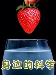 身边的科学动漫