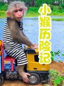小猴历险记动漫