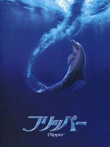 海豚的故事电影