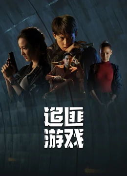 追匪游戏(国语)电视剧