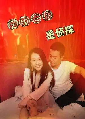 我的老婆是侦探电视剧