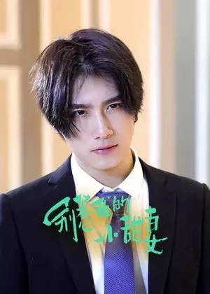 别惹我的小甜妻电视剧