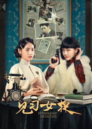 见习女探电视剧