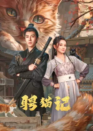 聘猫记电视剧