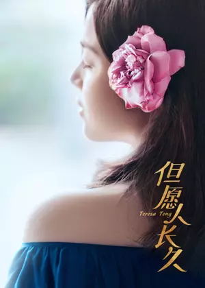 但愿人长久电视剧