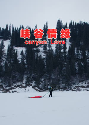 峡谷情缘电影