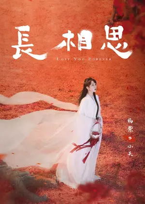 长相思(全季)电视剧