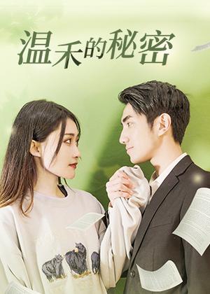 温禾的秘密电视剧