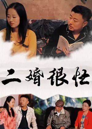 二婚很忙电视剧