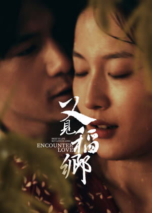 又见稻乡电影