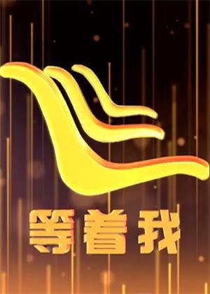 等着我（2025）