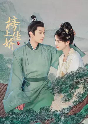 榜上佳婿电视剧