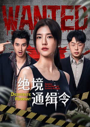 绝境通缉令电视剧