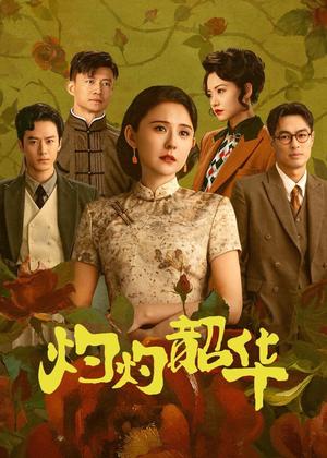 灼灼韶华电视剧