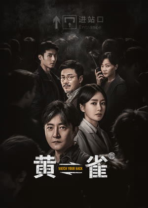黄雀电视剧
