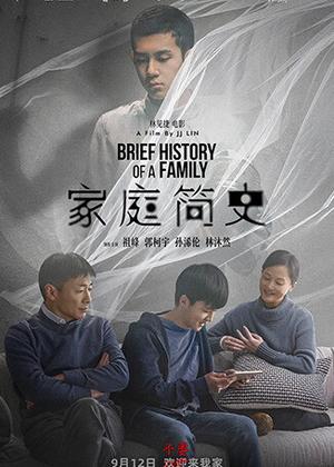 家庭简史电影