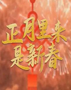 正月里来是新春（2025）