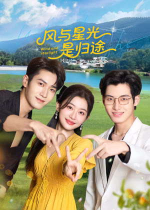 风与星光是归途电视剧