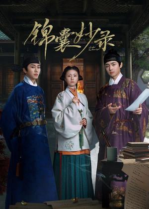 锦囊妙录电视剧