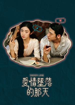 爱情坠落的那天电视剧