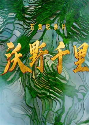 沃野千里（2025）