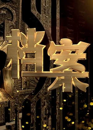 档案北京卫视（2025）