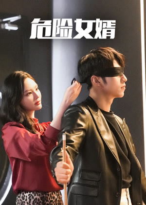 危险女婿电视剧