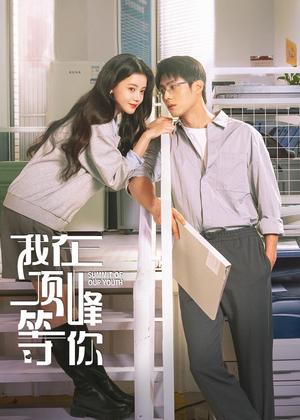 我在顶峰等你电视剧