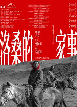 洛桑的家事电影