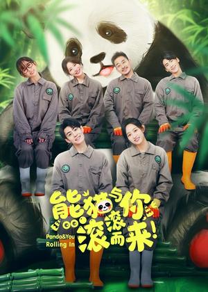 熊猫与你，滚滚而来！电视剧