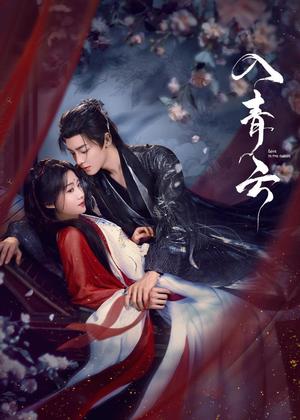 入青云电视剧