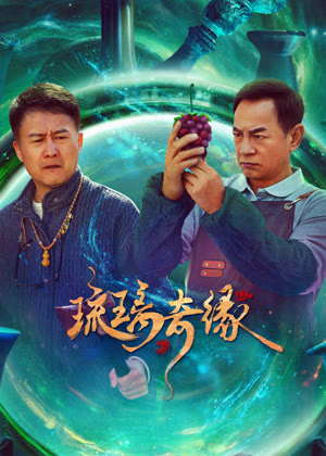 琉璃奇缘电视剧