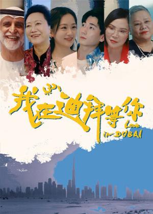 我在迪拜等你电视剧