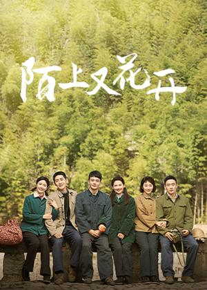 陌上又花开电视剧